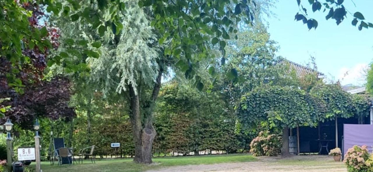 Luxe Bloemenzicht 4 Personen, Bnb, 10 Minuten Van Zee Breezand Exteriör bild