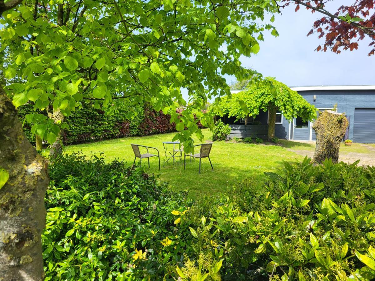 Luxe Bloemenzicht 4 Personen, Bnb, 10 Minuten Van Zee Breezand Exteriör bild